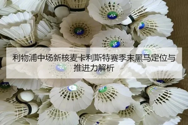 li-wu-pu-zhong-chang-xin-he-mai-ka-li-si-te-sai-ji-mo-hei-ma-ding-wei-yu-tui-jin-li-jie-xi-2-179.jpg