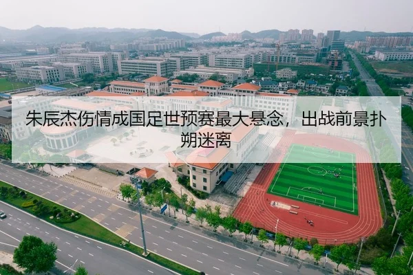朱辰杰伤情成国足世预赛最大悬念，出战前景扑朔迷离