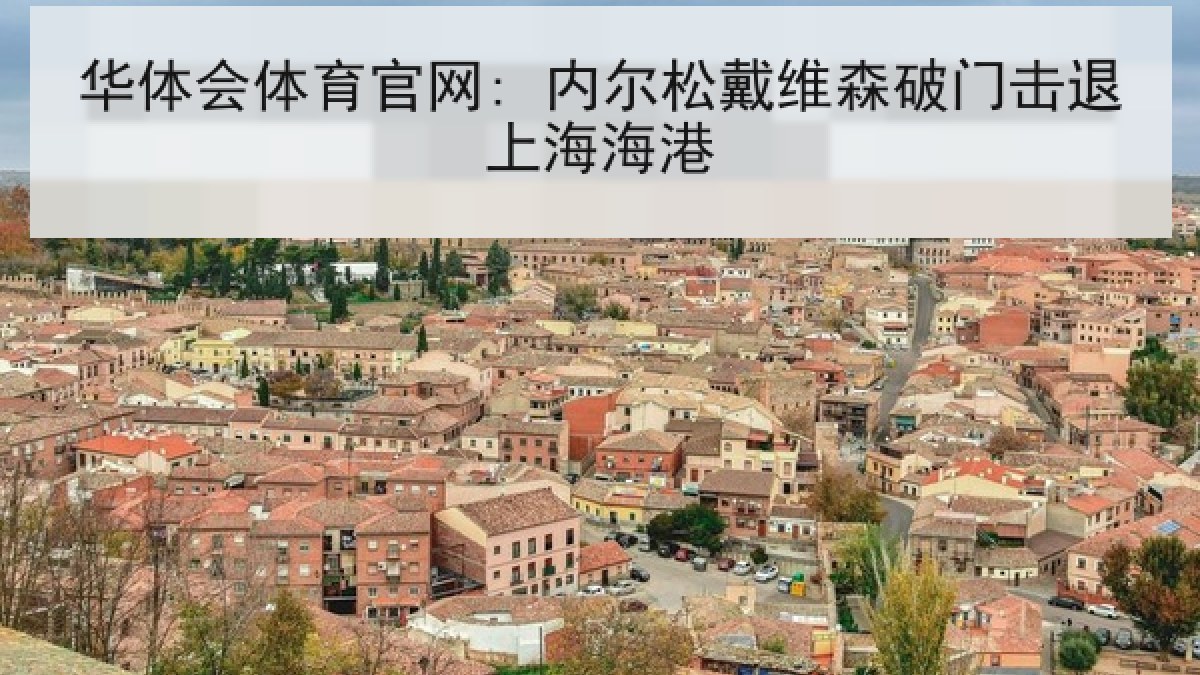 华体会体育官网: 内尔松戴维森破门击退上海海港