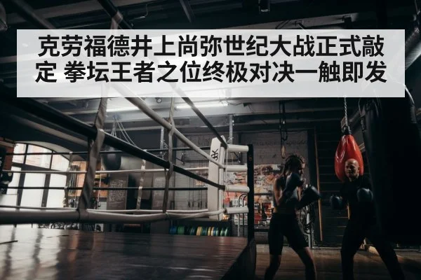 boxer training