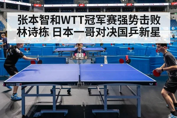 张本智和WTT冠军赛强势击败林诗栋 日本一哥对决国乒新星